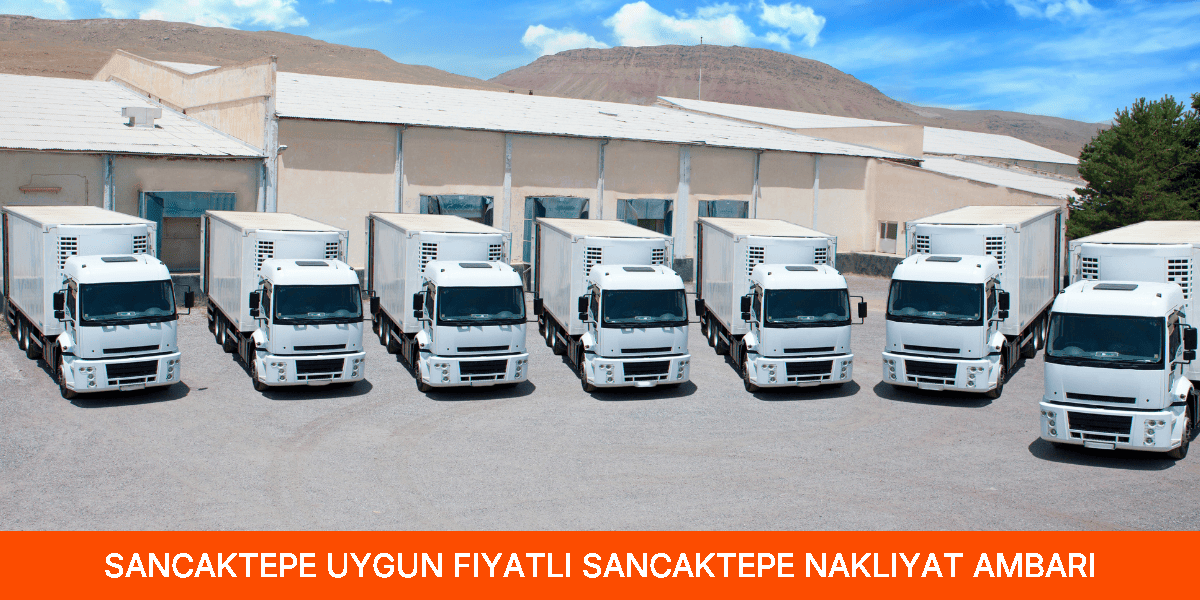Uygun Fiyatlı Sancaktepe Nakliyat Ambarı